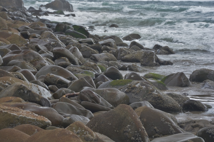 the rock shoreline near the Cape